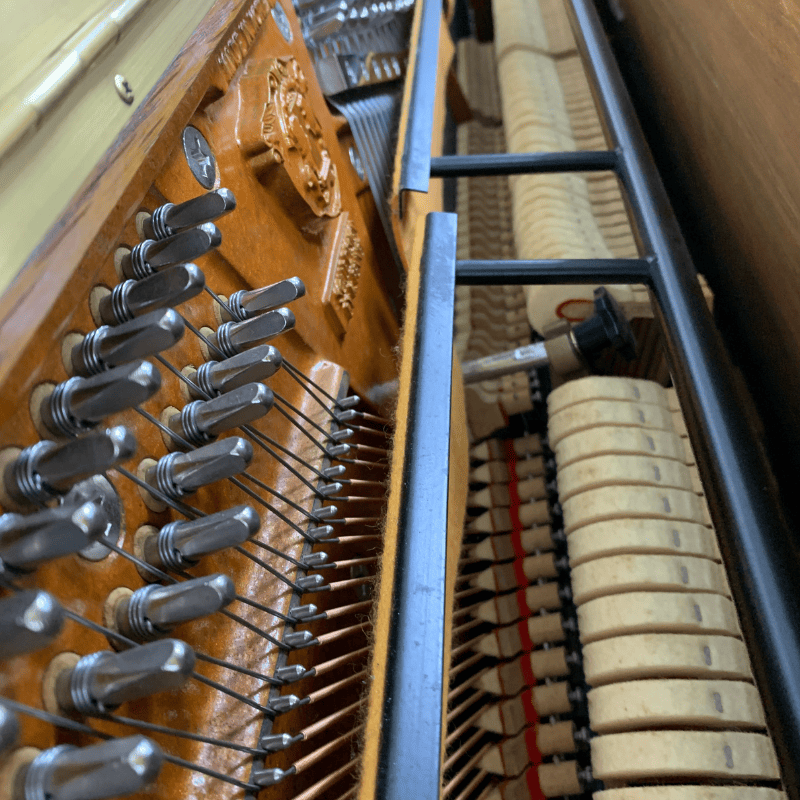 Ottostein SN121K - Imagen 4